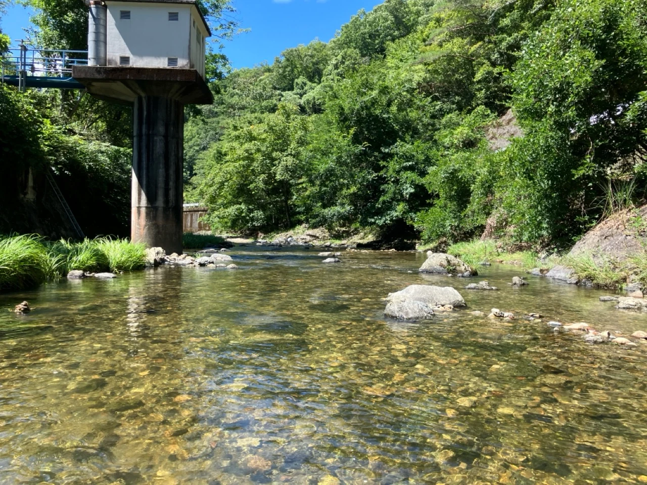 緑に囲まれた観測現場の河川と水面